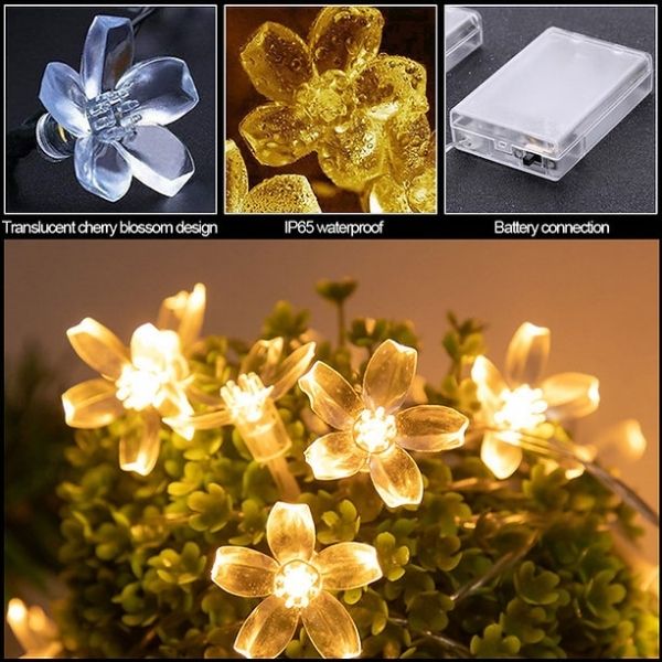 DAISYGLOW