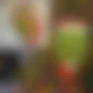 Kerstdecoratie | ELFLEGS