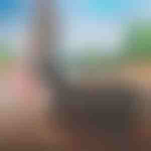 Makkelijk mee te nemen reistas | FOLDARA