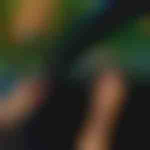 Autodeur afdichtstrip (5m) | EVOSEAL